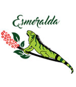 esmeralda