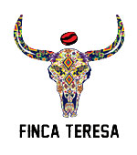 teresa