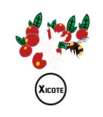 xicote